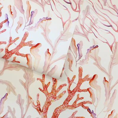 Coral Reef Removable Wallpaper - A wallpaper roll of Tempaper's Coral Reef Peel And Stick Wallpaper in rose quartz | Tempaper#color_rose-quartz