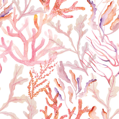 Coral Reef Removable Wallpaper - A swatch of Tempaper's Coral Reef Peel And Stick Wallpaper in rose quartz | Tempaper#color_rose-quartz