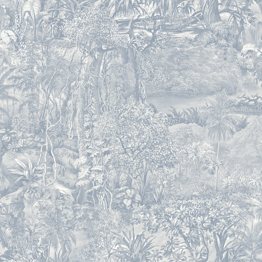 #color_cornflower-blue-toile