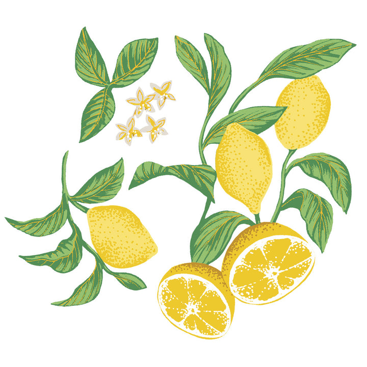 Lemon Removable Wall Decal Set