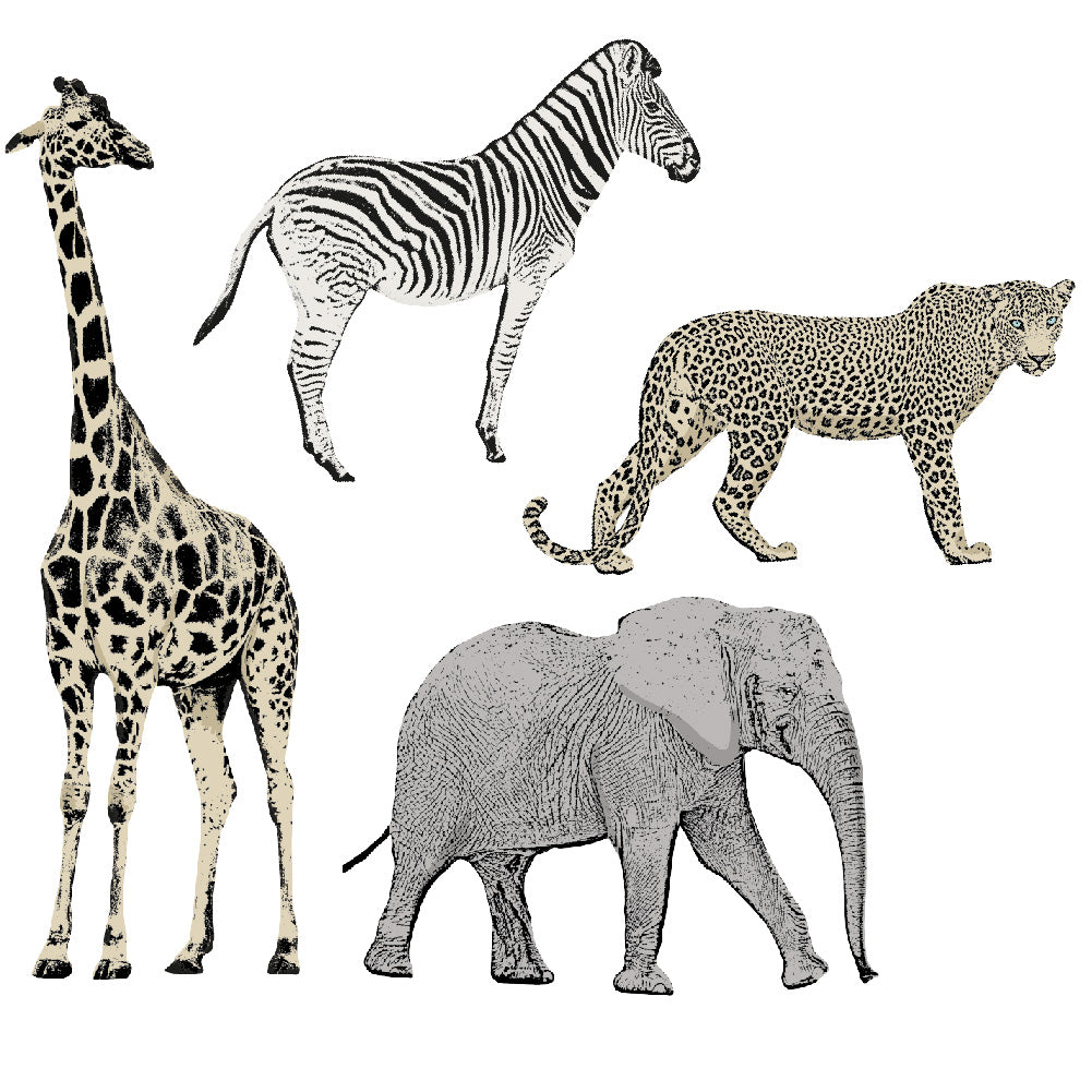 Safari Animals Removable Wall Decals