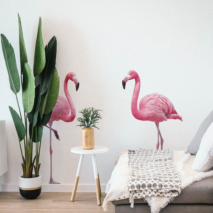 Tempaper's Flamingos Wall Decals shown on a wall with a plant.