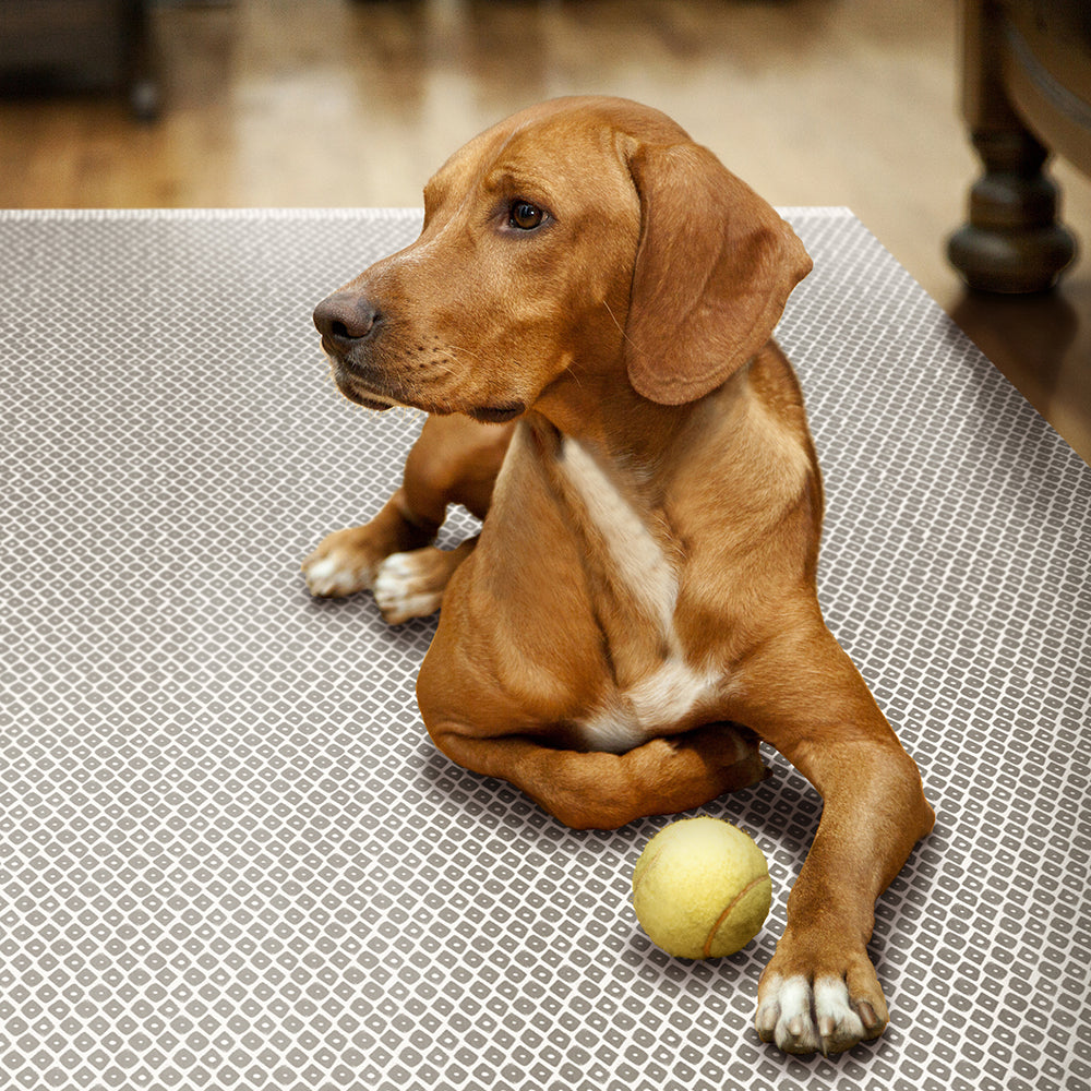 Tempaper's Diamond Geometric Vinyl Rug with a dog resting on top.